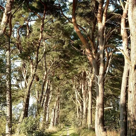 Baltic Sea Views & Cozy Comfort 보트호텔