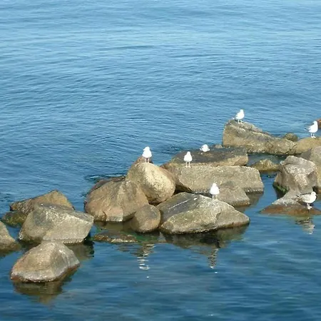 Baltic Sea Views & Cozy Comfort 보트호텔 *